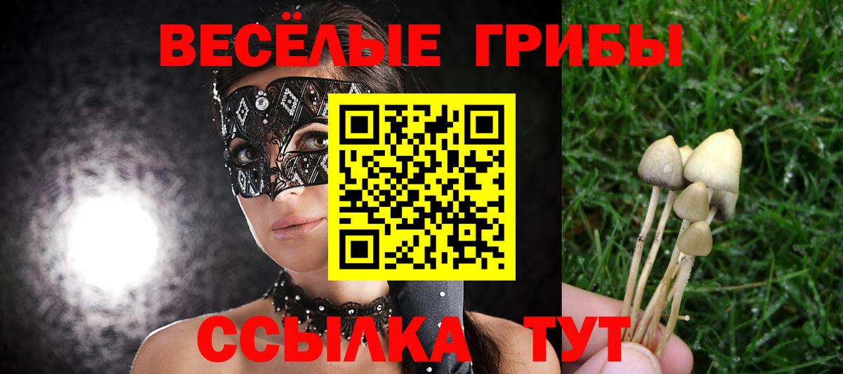Галлюциногенные грибы мицелий Слободской