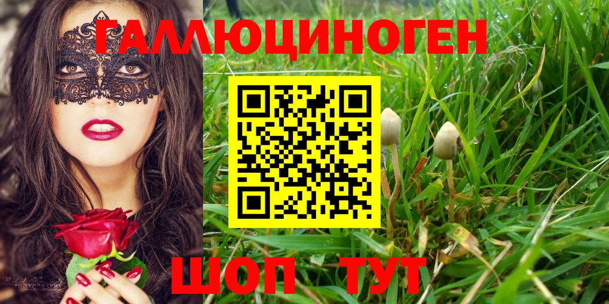 Псилоцибиновые грибы Psilocybe  Псилоцибиновые грибы ЛСД  Вход с VPN  Слободской 